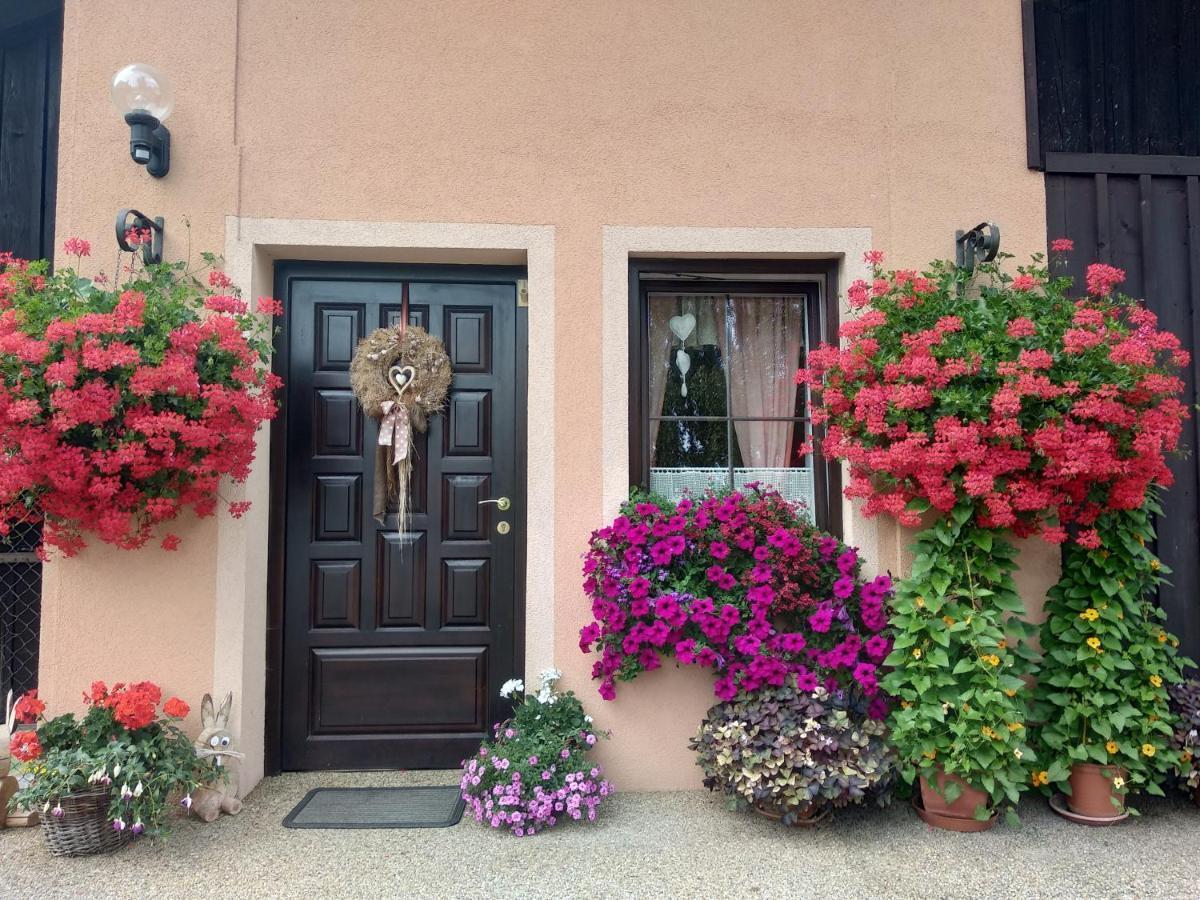 Apartmany Adrspach " U Kozaru " Teplice nad Metují Exterior foto
